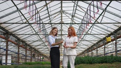 shade-cloth-for-greenhouse:-an-essential-guide-–-techbullion