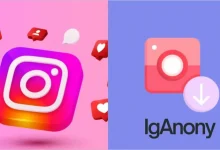 iganony-–-the-best-online-ig-story-viewer-(free-and-anonymous-app)-in-2024